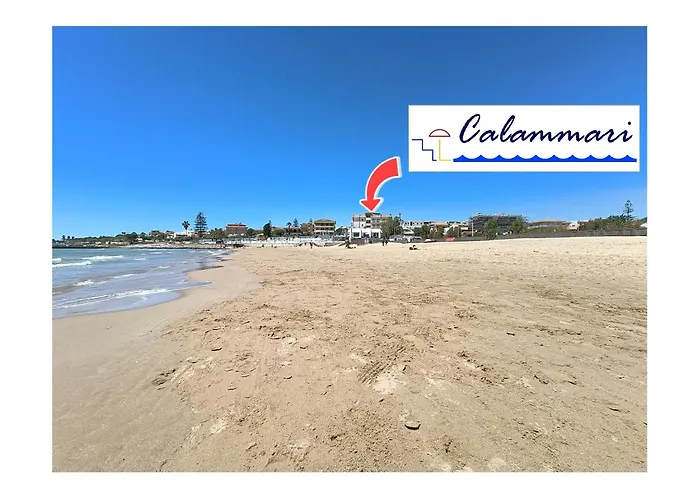 Calammari
