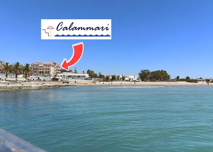 Calammari